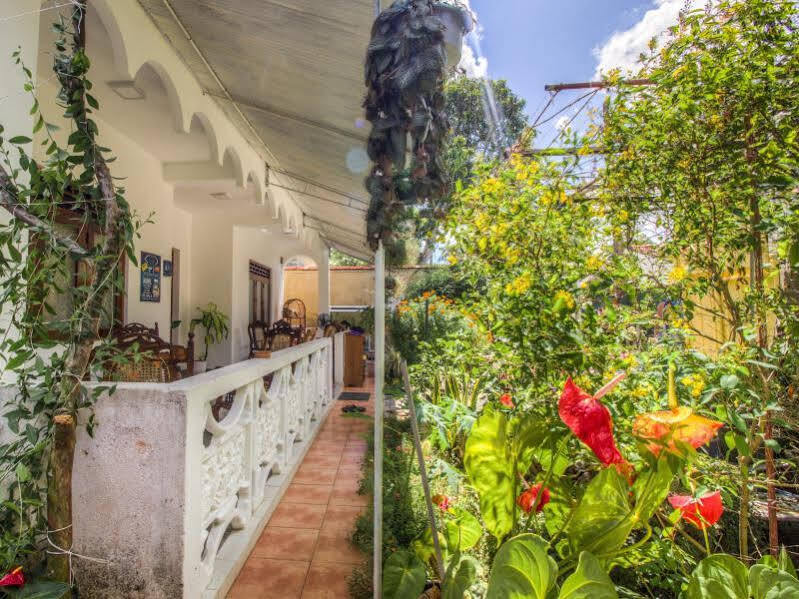 Guesthouse Kind And Love Hikkaduwa Luaran gambar